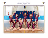 Gymnastics teams