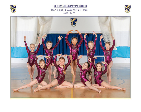 Gymnastics teams