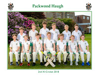 Cricket Teams