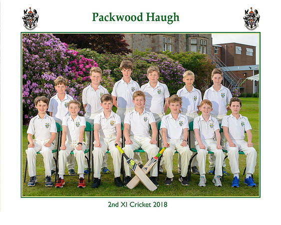 Cricket Teams